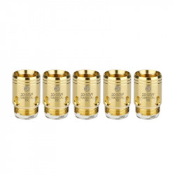 Verdampferköpfe EX (Exceed) - Joyetech | Pack x5