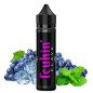 Freezy Grapes (Trauben & Minze) | 50 ml in 70 ml Freezy Grapes (Trauben & Minze) | 50 ml in 70 ml