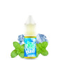 ICEE Mint - NikotinSalz 20mg - von Fruizee - Liquid ICEE Mint - NikotinSalz 20mg - von Fruizee - Liquid