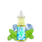 DIY Aroma Icee Mint - Fruizee | 10ml DIY Aroma Icee Mint - Fruizee | 10ml