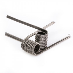 Alien Coils 0.31 Ohm – RP Coils | RedVape