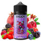 Fruits Rouges Grenade Fraise des Bois Acidulée - 200ml Liquid - von Biggy Bear Fruits Rouges Grenade Fraise des Bois Acidulée - 200ml Liquid - von Biggy Bear