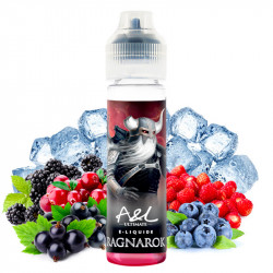 Ragnarok - 50/60ml Shortfill - von A&L - Liquid