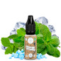 Menthe Intense - 10ml - Natural von Curieux - Liquid Menthe Intense - 10ml - Natural von Curieux - Liquid