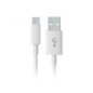 USB C Kabel - Kiwi Vapor USB C Kabel - Kiwi Vapor