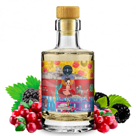 E-Liquid Lyon Mon Ptit Bouchon Sammleredition von Hexagone by Curieux 200 ml