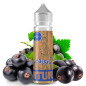 Cassis - 50/70ml Shortfill - Édition Natural Curieux Cassis - 50/70ml Shortfill - Édition Natural Curieux