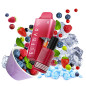 Elfbar - AF5000 - Kit - Red Fruits (10ml Nachfüllbehälter/Liquid) Elfbar - AF5000 - Kit - Red Fruits (10ml Nachfüllbehälter/Liquid)