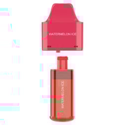 Elfbar Refill NX 7000 - Watermelon Ice