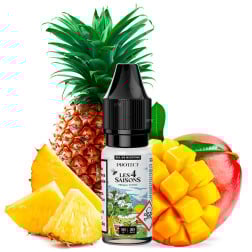 Mango Ananas - 10ml NikotinSalz - 4 Saisons by Protect